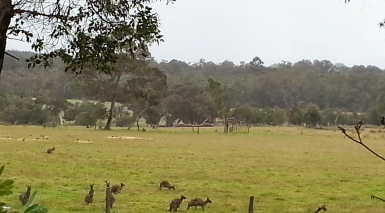 Albany Rural Subdivision  along King River