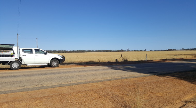 wongan hill road survey