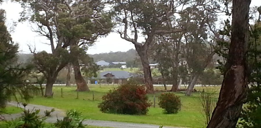 Rural Subdivision – Albany King River